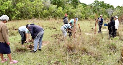 Denuncian apropiación de la franja del arroyo Ytú - Interior - ABC Color