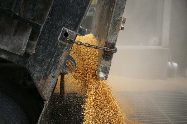 Agricultura es nexo para iniciar acuerdo