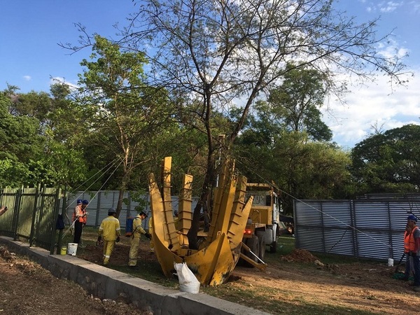 Arranca traslado de árboles en el Jardín Botánico