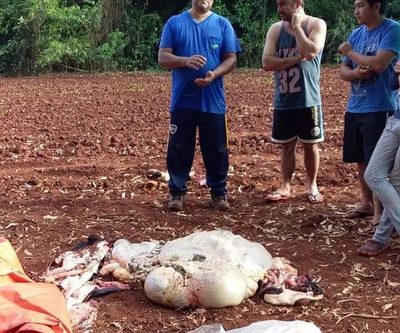 Otro caso de abigeo en Minga Guazú
