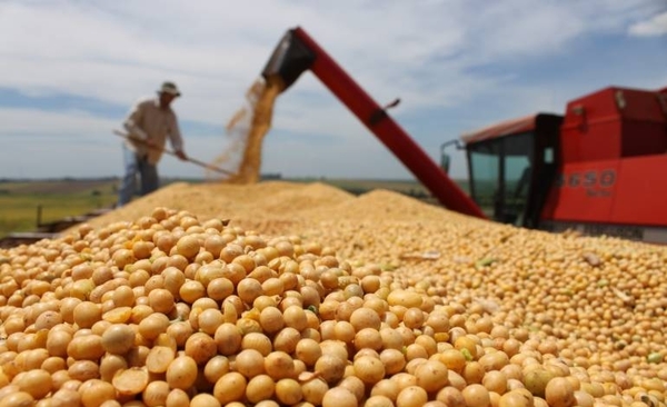HOY / PIB: pronostican crecimiento del 4% para el 2020