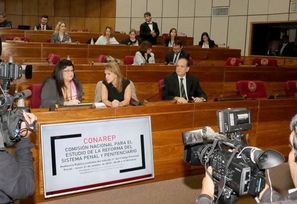 Ministra Llanes participó de audiencia sobre modificación del Código Penal