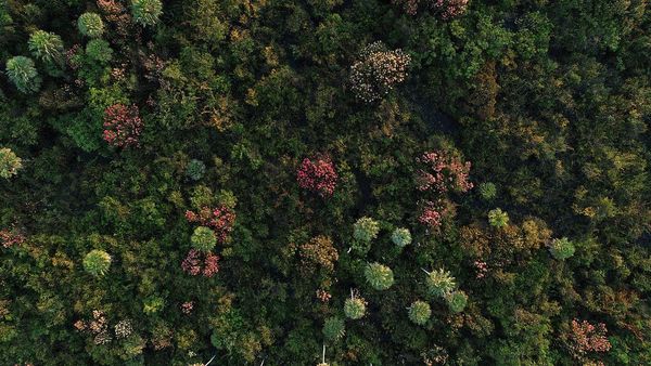 Realizan guía de compromiso ambiental para frigoríficos, supermercados y restaurantes