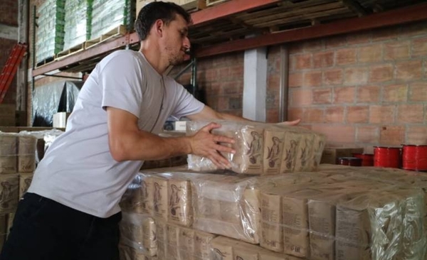 HOY / “Oñoirũ”, al mercado ruso: exportarán yerba mate agroecológica elaborada por familias campesinas