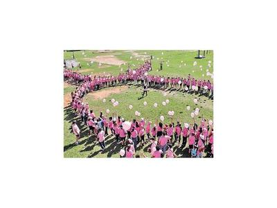 Renuevan ayuda en la lucha contra el cáncer de mama