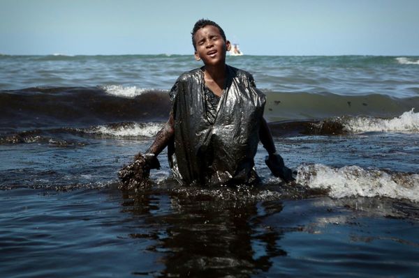 Un niño cubierto de petróleo: catástrofe de la costa nordeste