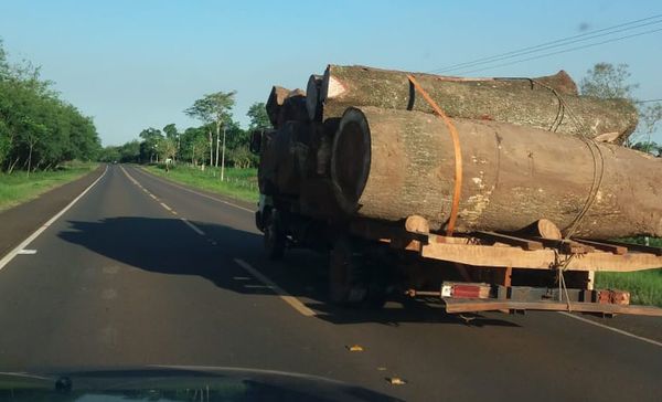 Denuncian tráfico de rollos en Ruta 11