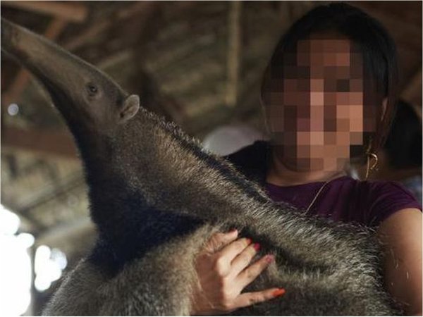 Costa Rica busca combatir las selfis que afectan a los animales silvestres