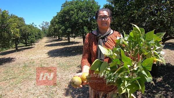 DOÑA AGUSTINA EN 2 HECTÁREAS HACE MARAVILLAS CON LA TIERRA