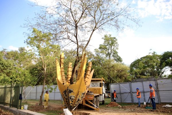 Traslado de 157 especies nativas del Jardín Botánico será en dos etapas | .::Agencia IP::.