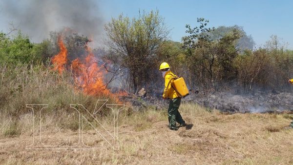 Inconsciencia de la gente causa gran incendio en San Pedro