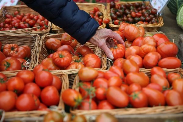 Ko’êrõ ha ko’êmbuérõ remate de tomate nacional G. 3.500 por kilo - ABC Remiandu - ABC Color