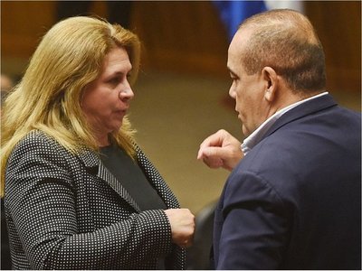 Diputada Blanca Vargas planteó 20 proyectos de expropiaciones