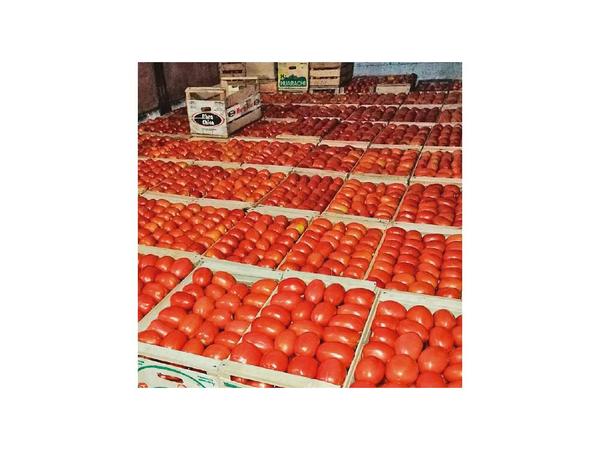 MAG hace ferias de tomate a G. 3.500 en varios espacios