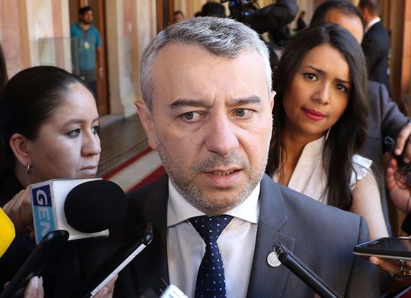 Centurión: Frente Guasu y efrainismo buscan desestabilizar