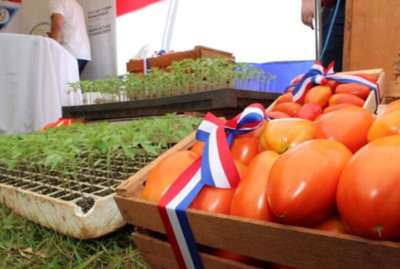 Feria de tomates: Lugares en donde podés adquirir estos productos