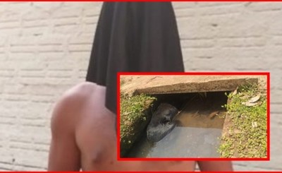 Agredió a su mamá y violó a un perro