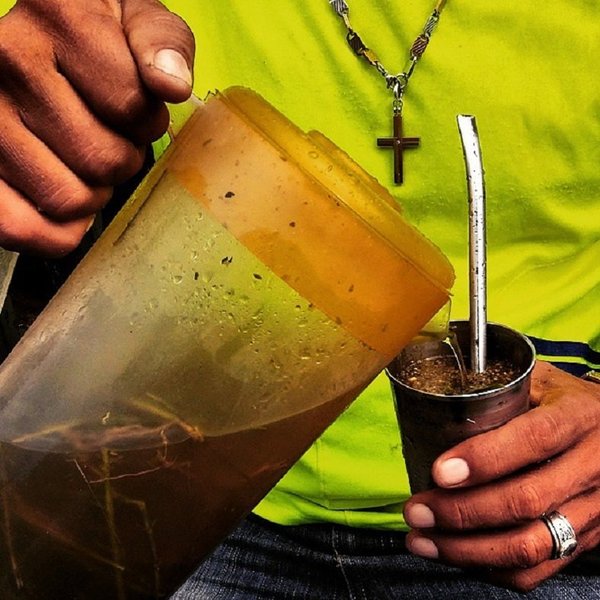Con este calor extremo, dejá los yuyos de tu tereré | Noticias Paraguay