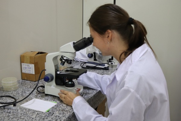 Científicos identifican principales plagas y enfermedades fúngicas del cocotero » Ñanduti