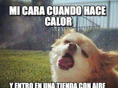 Paraguay hendy con tanto calor pero no faltan los memes