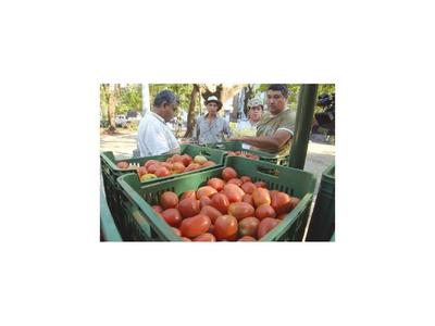 Feria vende 10 toneladas de tomates en su primer día