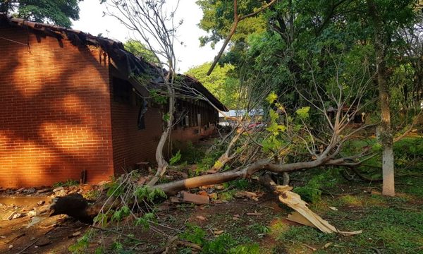 Árbol cae sobre aula en el CRECE