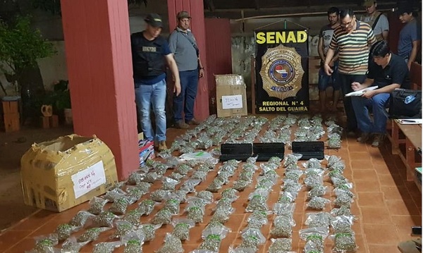 Incautan marihuana envasada al vacío en Curuguaty