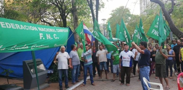 HOY / Campesinos estudiarán propuesta del Gobierno y responderán hoy