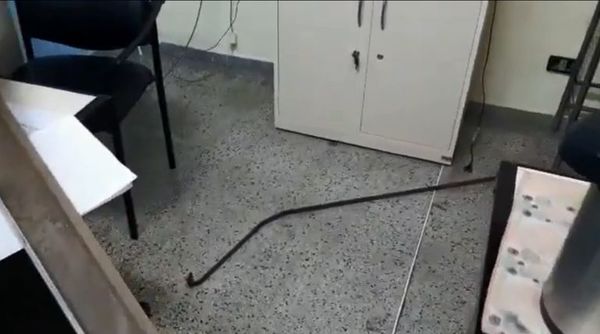 Cede parte del cielorraso en Palacio de Justicia y varilla de hierro cae sobre funcionaria - Nacionales - ABC Color
