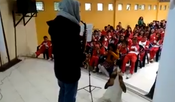 Firulais nuevamente hizo de las suyas y esta vez demostró que también canta