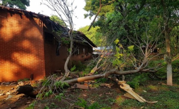 Árbol cae sobre el techo de un aula en el CRECE