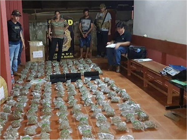 Agricultor cae con más de 200 paquetes de marihuana en Curuguaty