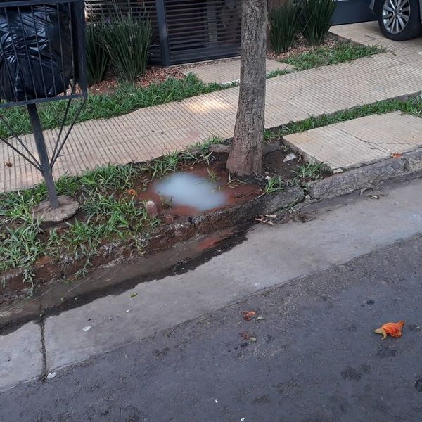 Pérdida de agua - Crónicas Ciudadanas - ABC Color