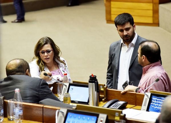 Diputados pedirán regular “repartija” de las multas en Aduanas y el MIC - Política - ABC Color