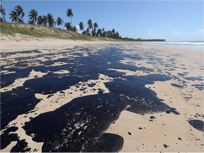 Brasil prohíbe pesca de camarón en áreas afectadas por petróleo
