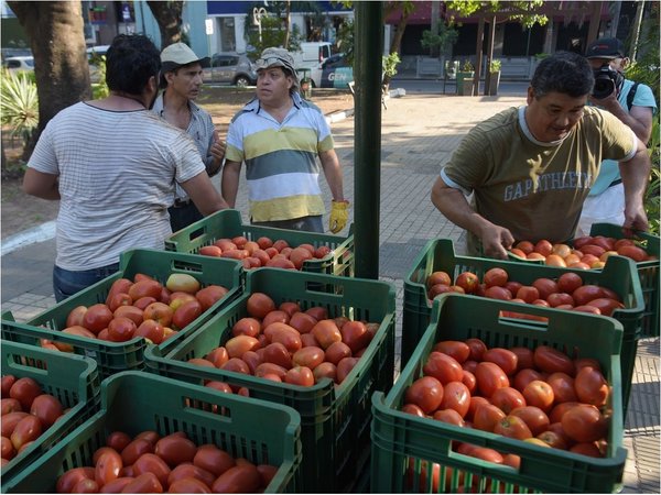 Se extiende la exitosa feria de tomates a G. 3.500 el kilo