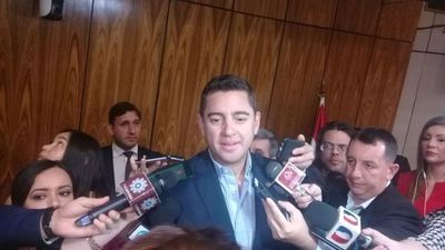 Para Alliana, “no es el momento” de debatir reelección - Nacionales - ABC Color