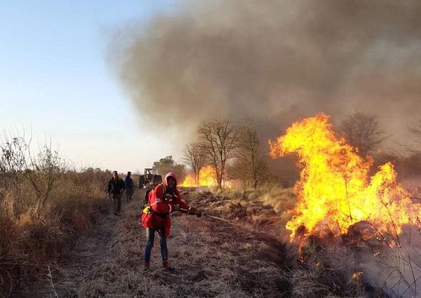 Prevención y actuación rápida, acciones esenciales para evitar producción y expansión de incendios forestales