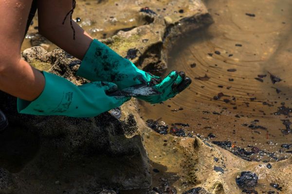 ONU: Hay preocupación por la contaminación petrolera en el Brasil