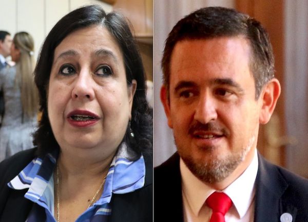 Un nervioso Petta intima a la senadora Martínez