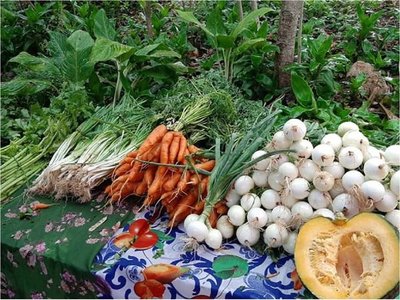 Ofrecerán artesanía y productos agroecológicos en Plaza Italia