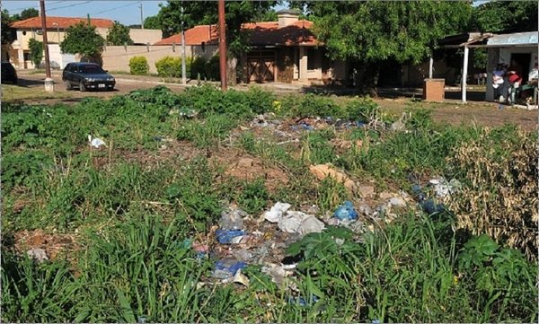 Te pueden multar por G. 25 millones si no mantenés limpio tu baldío o patio | Noticias Paraguay