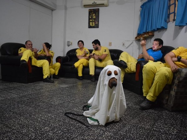Ouro: el perro bombero que se convirtió en fantasma