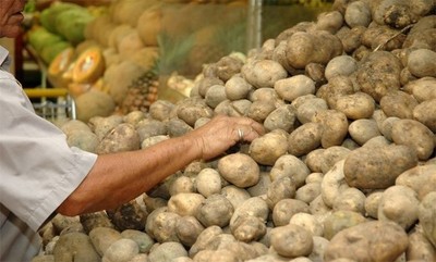 El contrabando le hace 100 a 1 a la papa nacional