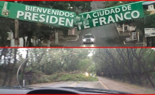 Cartel de Pdte. Franco roto y árboles caidos en túnel de Santa Rita
