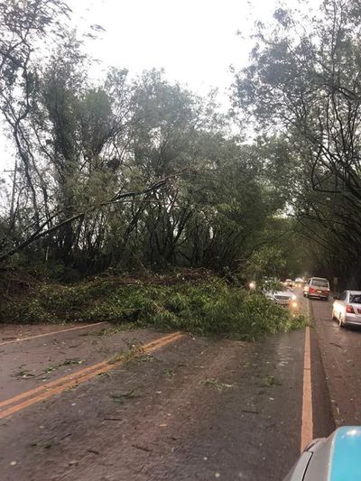 Unas 40.000 familias están sin electricidad en el Este tras temporal - Nacionales - ABC Color