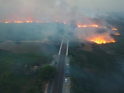 50.000 hectáreas del Pantanal de Brasil devastadas por incendios