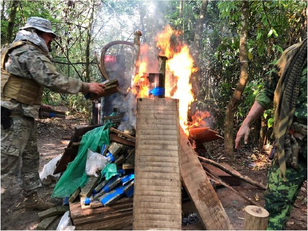 Senad desmantela campamentos de marihuana en Capitán Bado