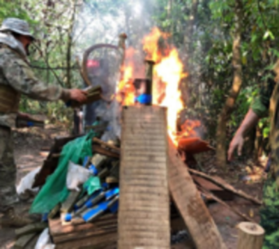Senad desmantela grandes volúmenes de marihuana - Paraguay.com