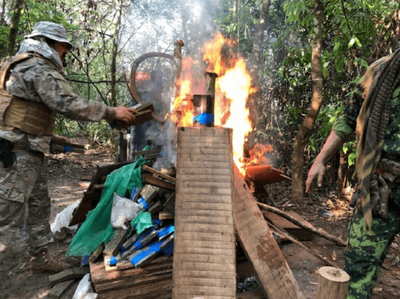Senad destruye campamento de marihuana en Capitán Bado | Noticias Paraguay